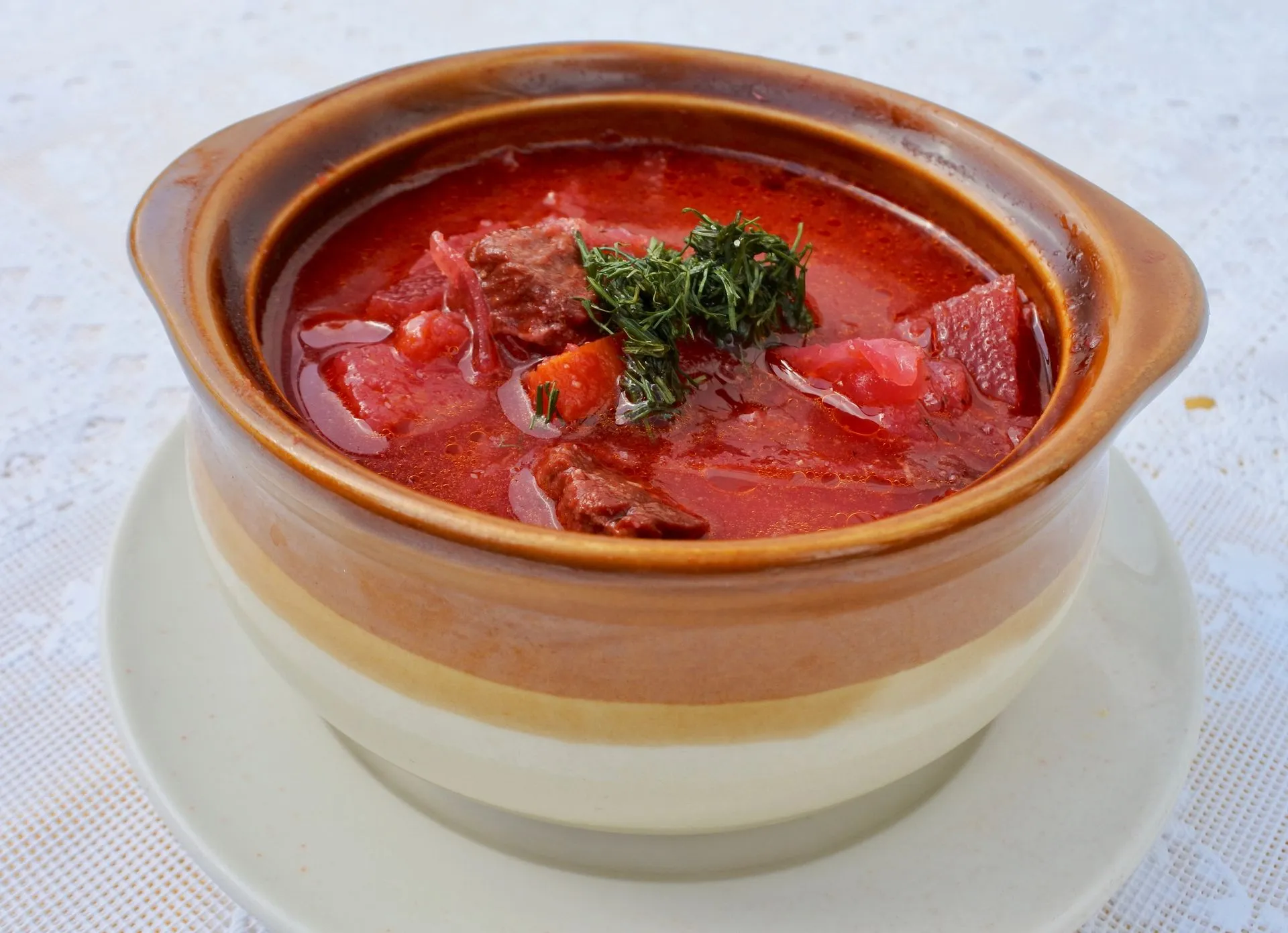 Russian borscht soup with beef and dill in a clay pot